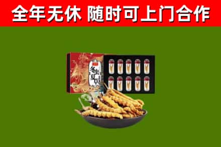 永昌县回收冬虫夏草价格